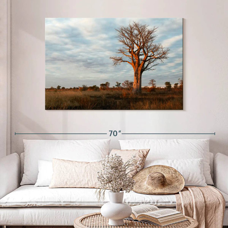 Baobab zambien Harnek, H 32 po x l 48 po