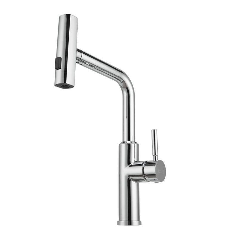 Belfry Kitchen Mallouk Pull Out Kitchen Faucet, Silver