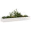 Planter Box-327521694