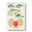 East Indies Fish & Crab Illustrations XXIII by Charles DOrbigny - Wrapped Canvas-55342604