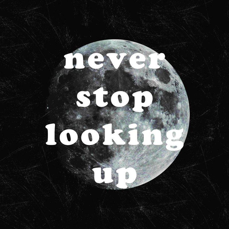 «Never Stop Look Up Up», reproduction sur toile tendue, L 36 po x H 36 po