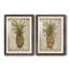 Pineapple Study I encadré mat - prêt à accrocher-922896360-922896361