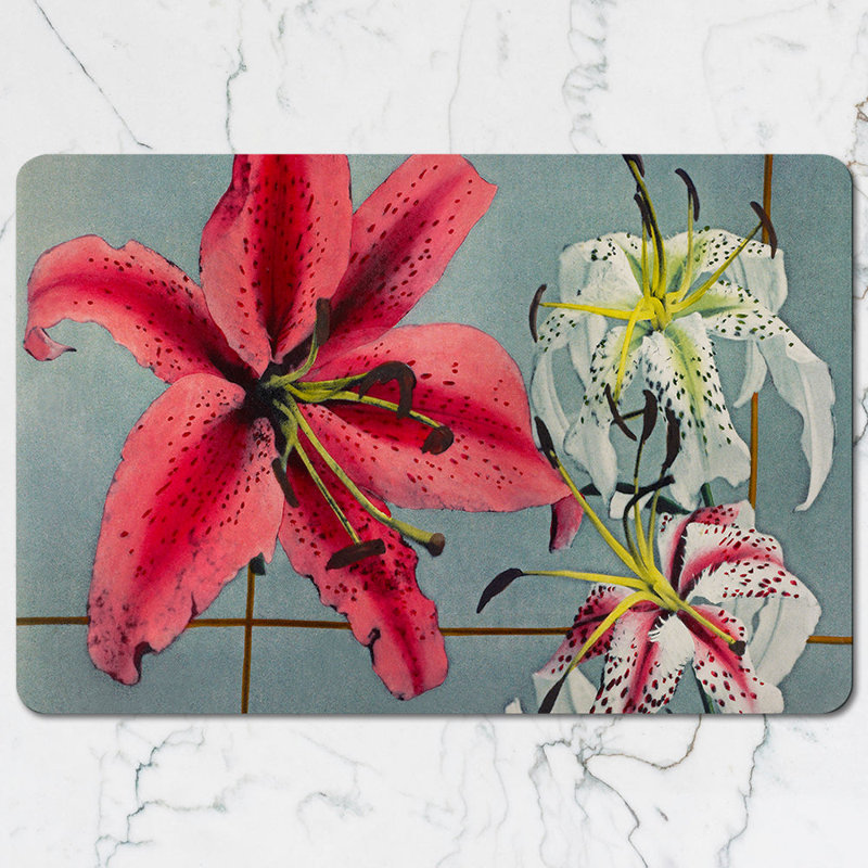 Butterfly Themed Placemats and Coasters Set With Colorful Wings