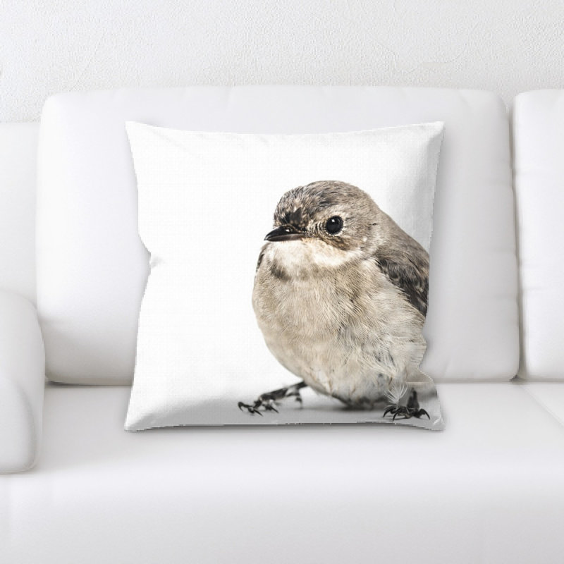 Coussin oiseau