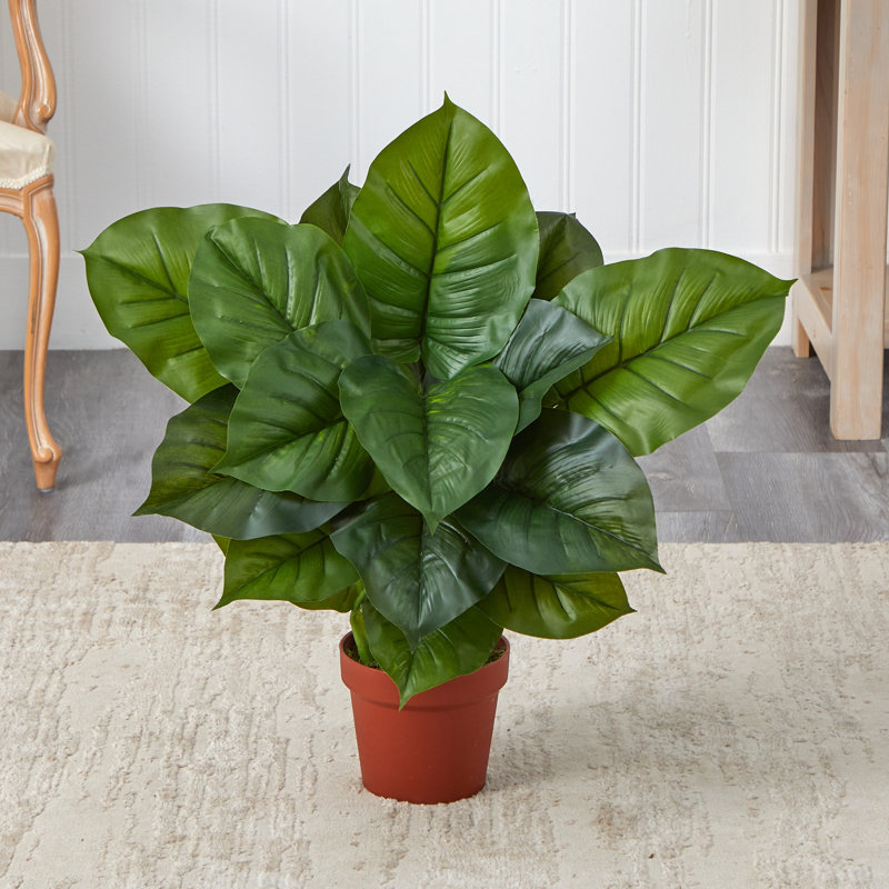 Large Green Silk Philodendron Potted Arrangement