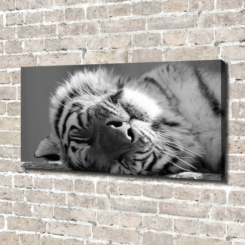 Sleepy Tiger - Wrapped Canvas Print