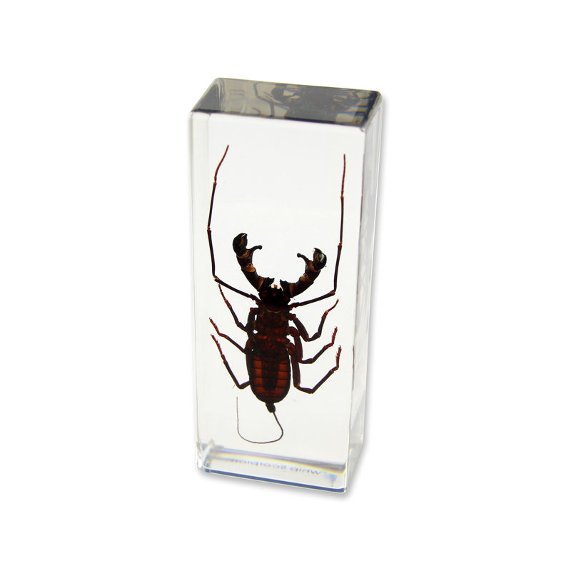 Presse-papier Scorpion ranstead whip