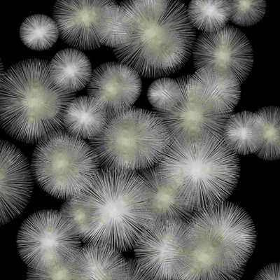 Silver Sunbursts - reproduction d'art sur toile tendue