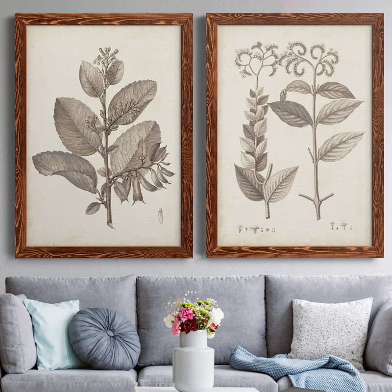 Toile encadrée antique Premium sépia Botanicals - prêt à accrocher, Toile avec cadre érable, H 31,5 po x l 47 po x P 1,5 po