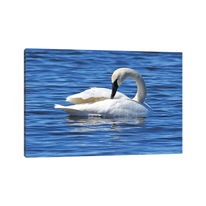Rearranging by Brian Wolf - Wrapped Canvas Gallery-Wrapped Canvas Giclée, 20.32cm H x 30.48cm W
