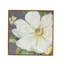 4 White And Gold Botanical Wall Art, 20” X 20”, Home Decorative Pieces, Microfiber Material, Hallway Decor , Neutral Colorway For Various Rooms