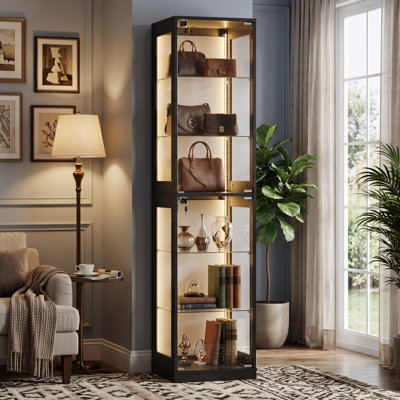 66.1" H Black Glass Display Cabinet with Dual LED Light Strips, 3-Color Lighting, USB Power, Locking Doors and Adjustable Tempered Glass Shelves