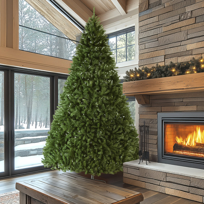 14 Ft. North Valley Spruce Tree, 12' H