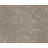 High-Quality Hand-Knotted Sand And Dollar Area Rug