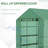 Greenhouse-98284341-98284342