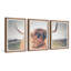 Triptyque de vue de vache-420400000