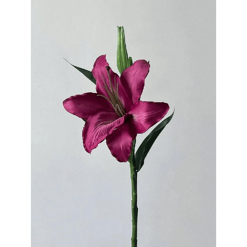 Petite tige de lys - 15 po, Plum Purple, [B] 3 Stems