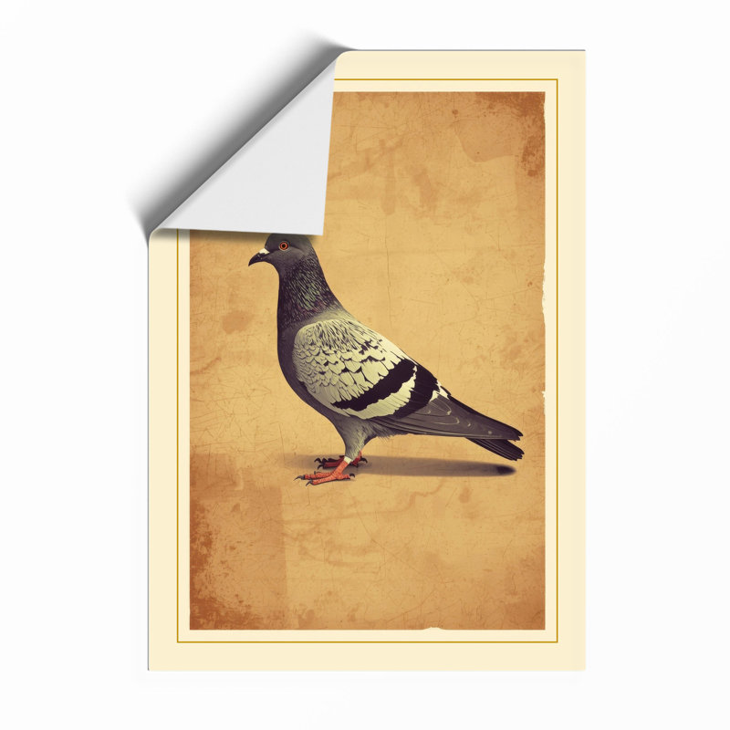 Pigeon Study In Profile Vintage - Print, Unframed, A3 - 42.0 x 29.7 cm