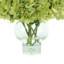 Hydrangea Bouquet-1894723918