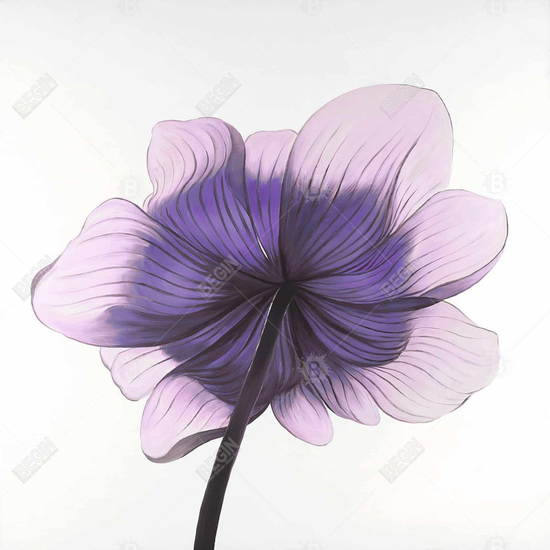 «Beautiful Anemone Purple Flower» sur toile