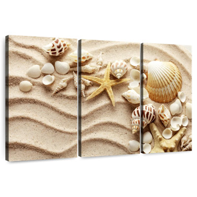 Aletra Seashells On Sand Waves