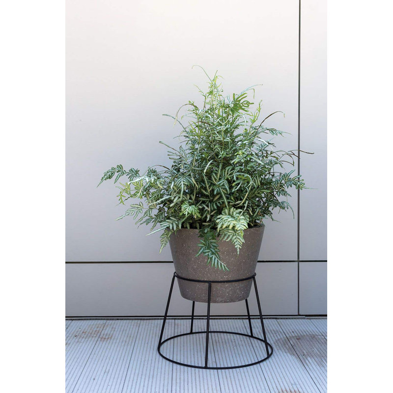 Support à plante