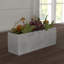 Sydnee 19cm Succulent in Cement Planter