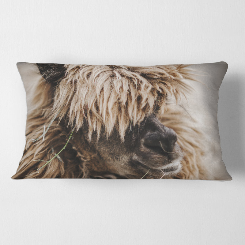 Portrait de housse de coussin rectangulaire rectangulaire en alpaga