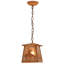 Rustic Lodge 1 - Light Pendant-71419422