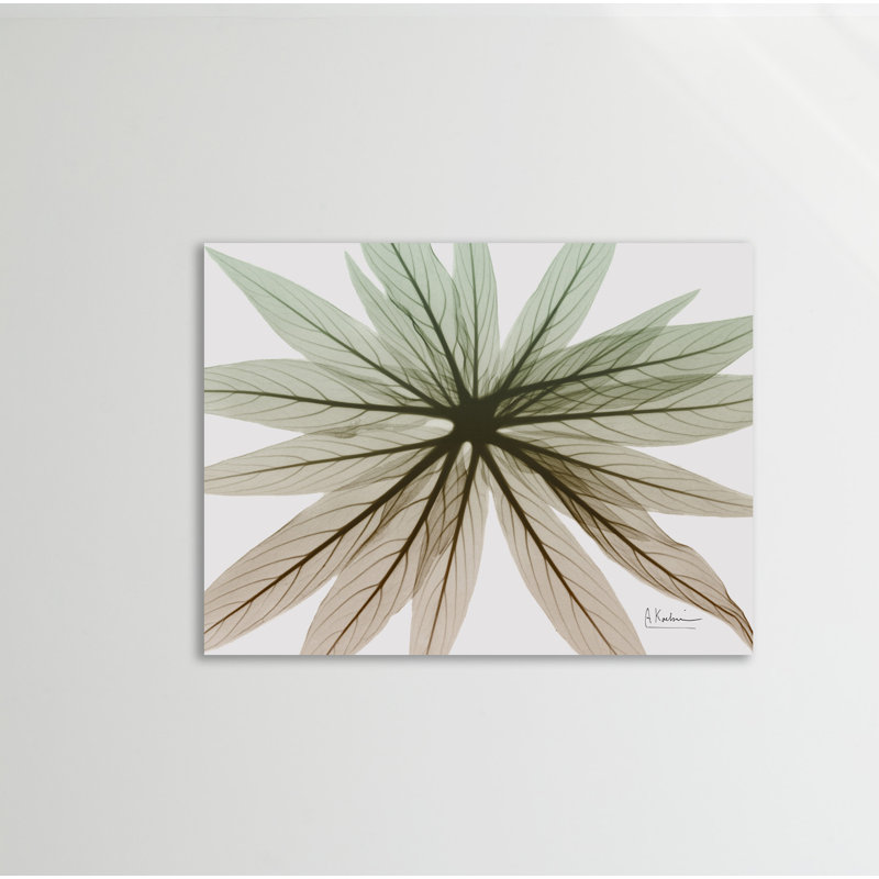«Earthy Echium», toile tendue par Albert Koetsier, H 15 po x l 20 po x P 1,5 po