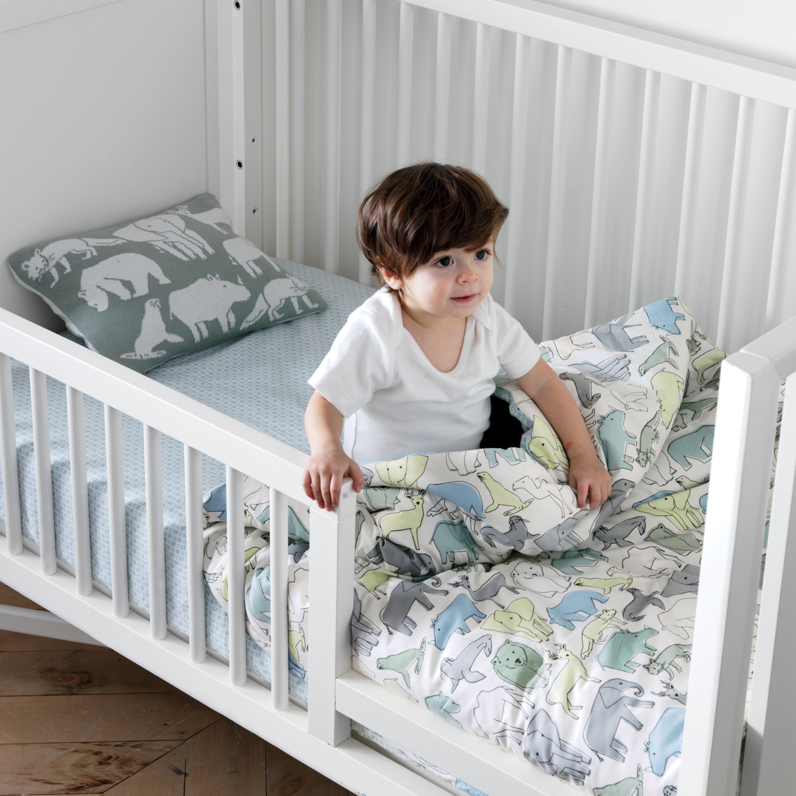 Crotty Toddler Bed Rail, French White