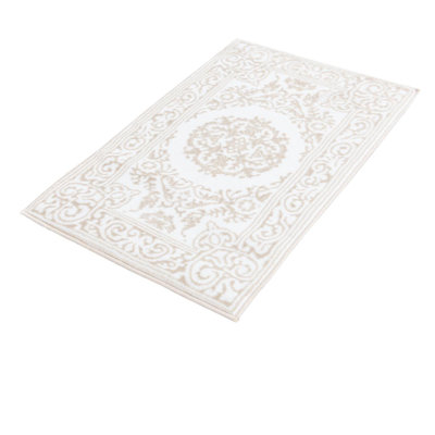 Dalhem Oriental Indoor Rug