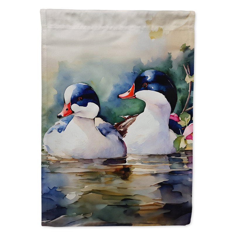 Drapeau Bufflehead Garden_DAC3192