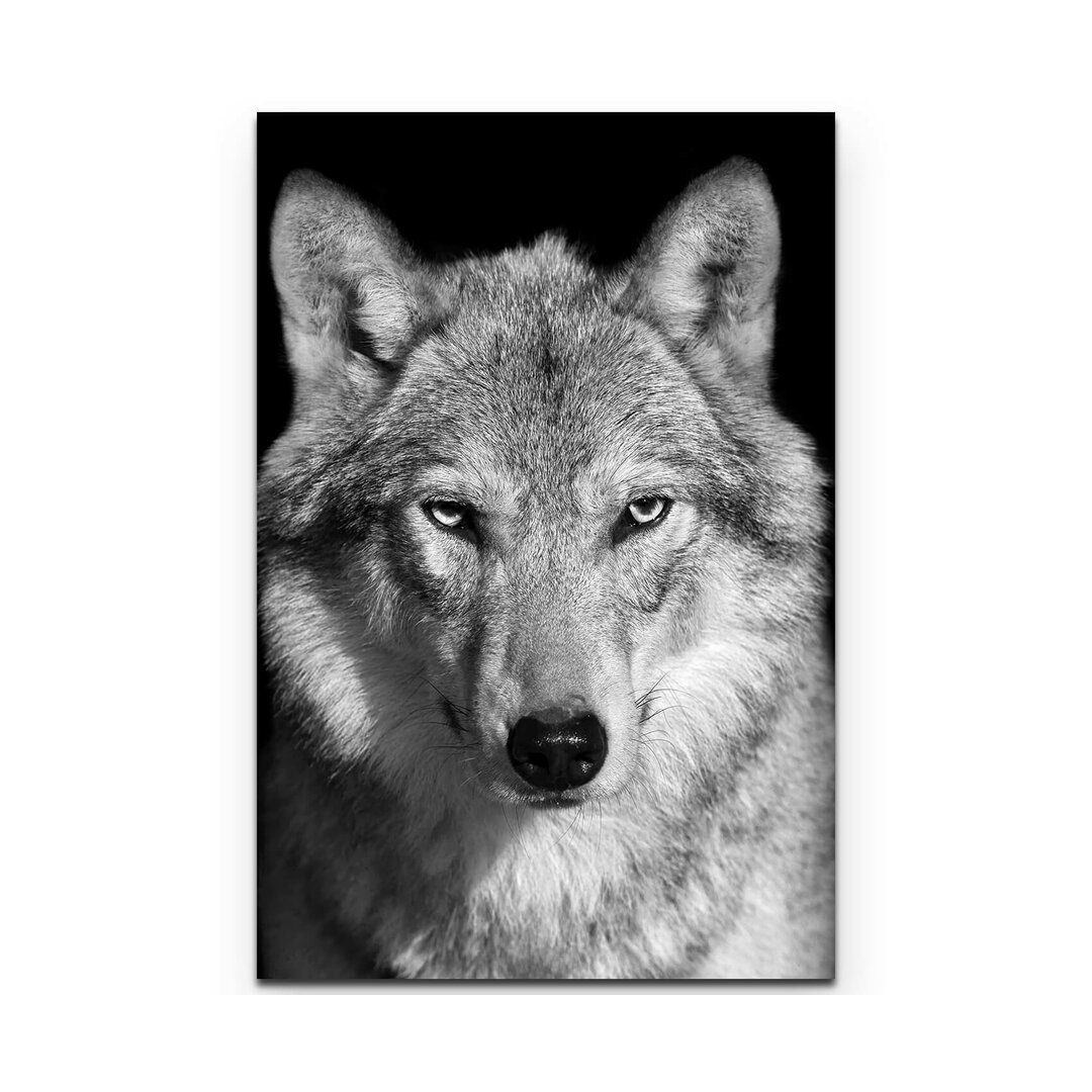 Leinwandbild Portrait – Wolf