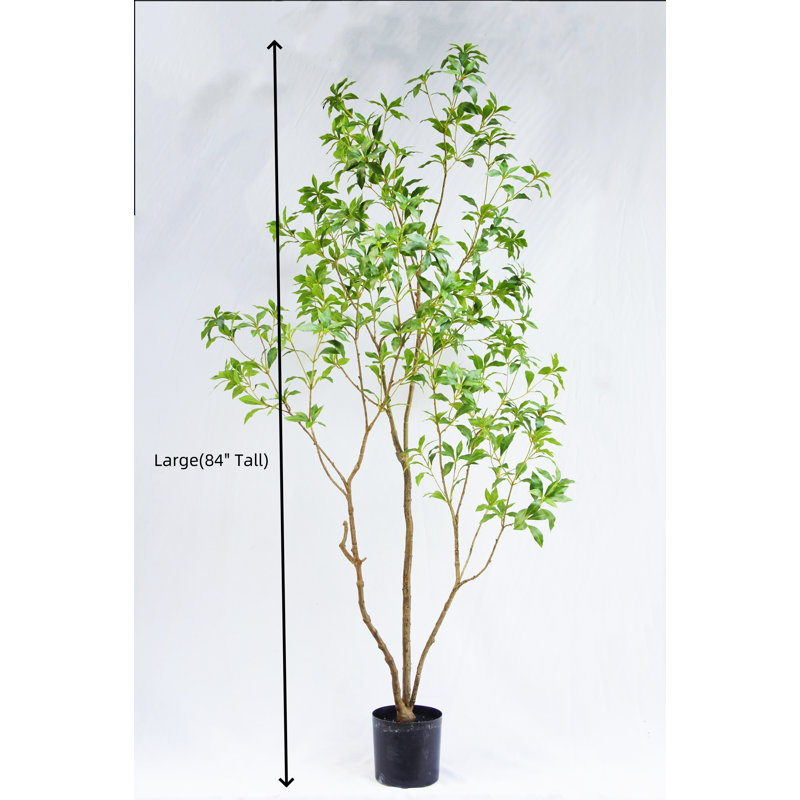 Artificial Japanese Enkianthus Tree Faux, 84" H x 32" W x 32" D