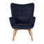 Drucker 68cm Wide Tufted Wingback Chair-1179919503