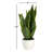 16" Artificial Snake Plant in Planter