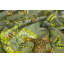 Ardmore Linen Fabric-64791670
