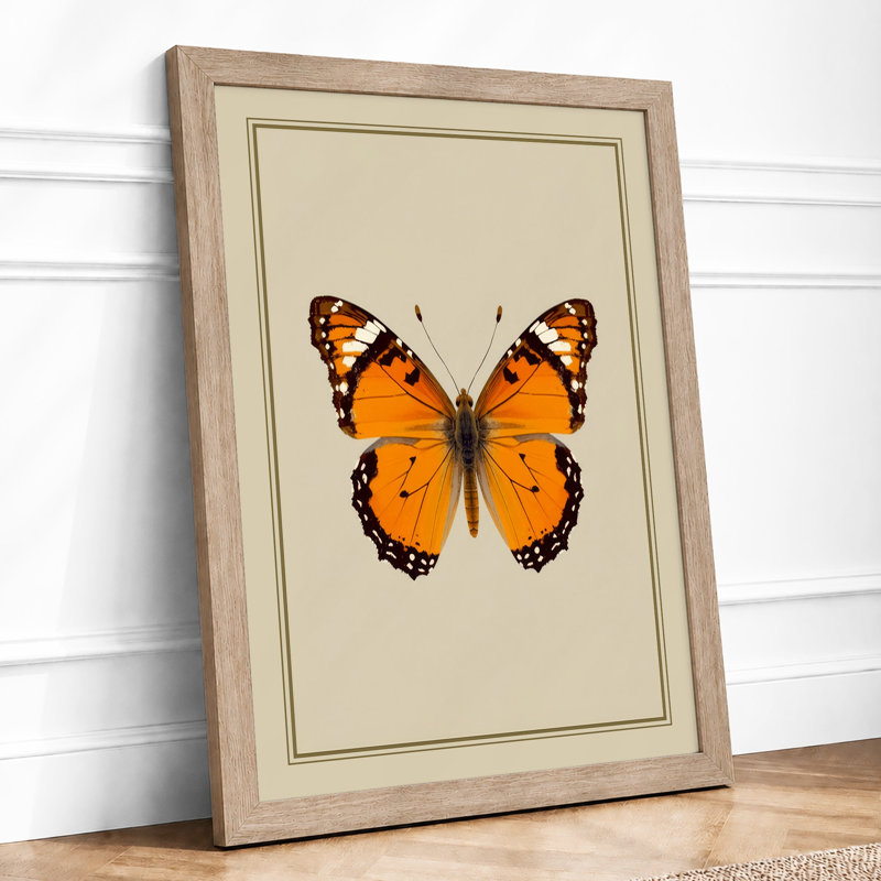 Orange Butterfly Study Botanical - Print, Oak, A4 - 29.7 x 21.0 cm