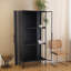 Vitrines en fer noir