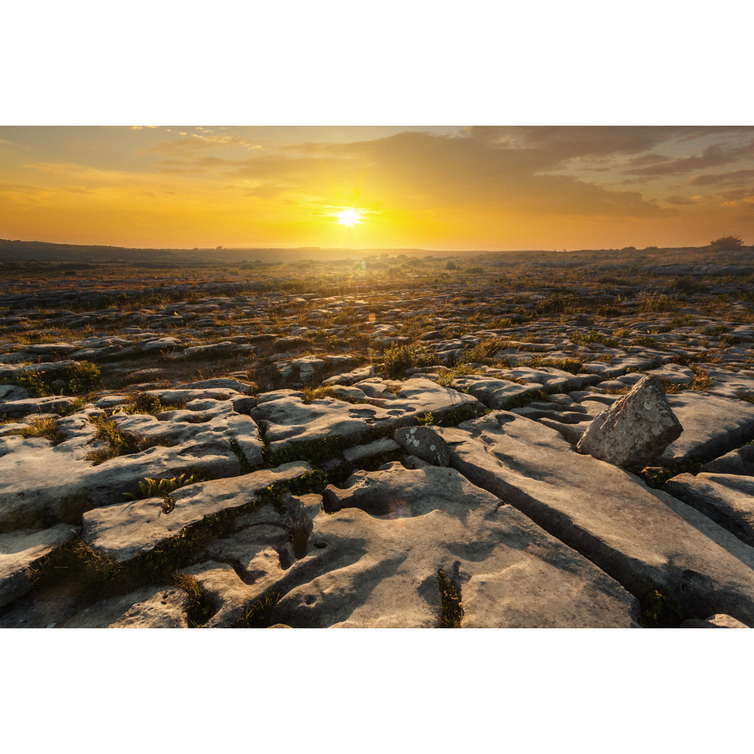 Stone Desert von Mammuth - Kunstdrucke auf Leinwand - Wrapped Canvas