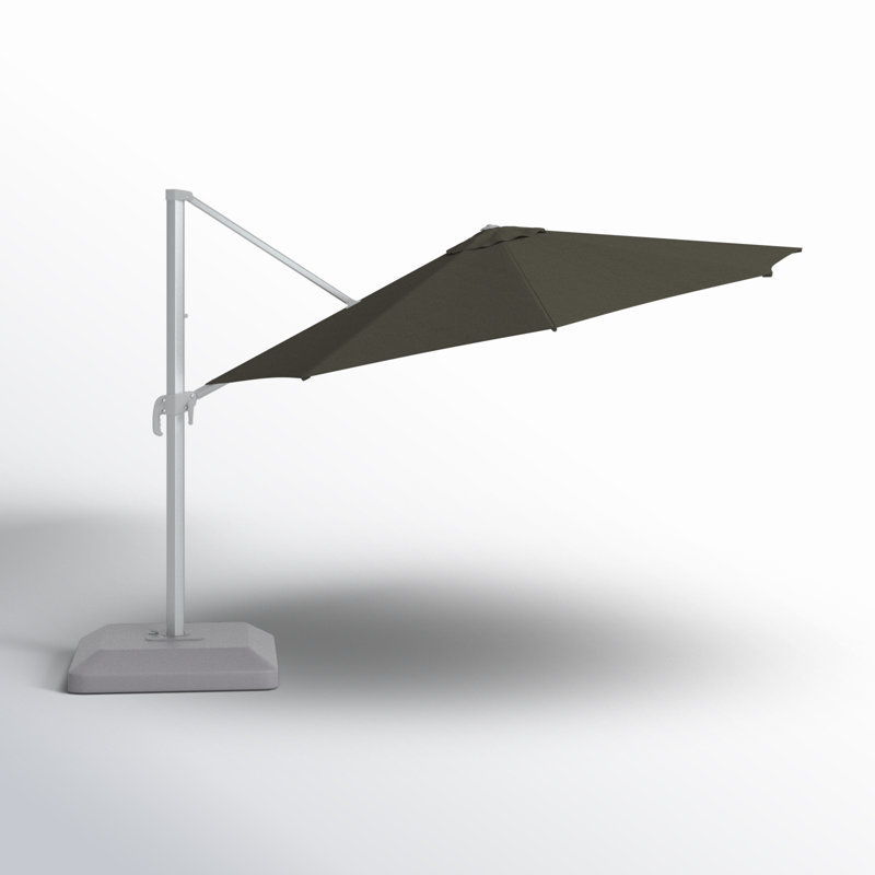Grayden 150.79 " W Octagonal Rotating Cantilever Umbrella with Crank Lift