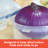 Easy Essentials™ Food Storage Container
