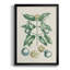 Buchoz Tropicals VII, reproduction d'art encadrée-88436162-88436164