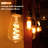 9 Watt (60 Watt Equivalent), ST64 LED Smart, Dimmable Light Bulb, Color Changing Warm White (5000K) E26/Medium (Standard) Base