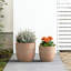 Pot à fleurs / pot rond en béton avec trous de drainage pour l'intérieur et l'extérieur-1188745779-1188745778