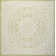 Moten Medallion Textured Weave Green/Cream Indoor/Outdoor Rug