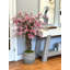 Magnolia Tree in Stone Pot