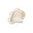 Wood Bowl, Bleached