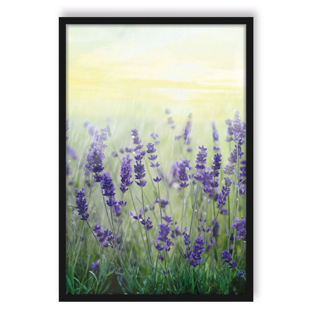 Gerahmtes Foto "Beautiful Lavender in Rain"